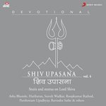 Shiv Upasana, Vol. 4 - Roopkumar Rathod Song Download